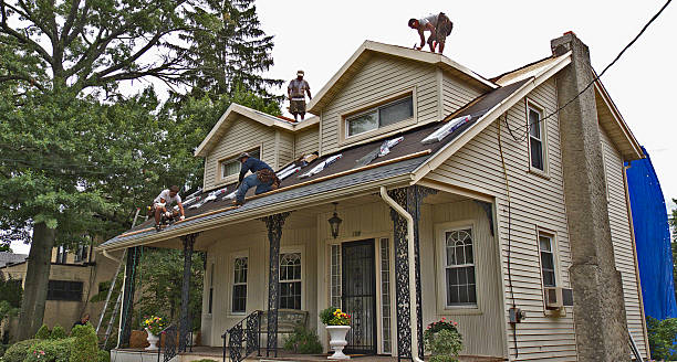 Best Roof Leak Repair  in Duluth, WA