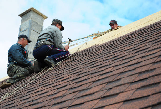 Quick and Trustworthy Emergency Roof Repair Services in Duluth, WA
